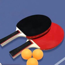 Professional Table Tennis